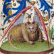 Gato demoníaco del Libro de las Horas. Siglo XV